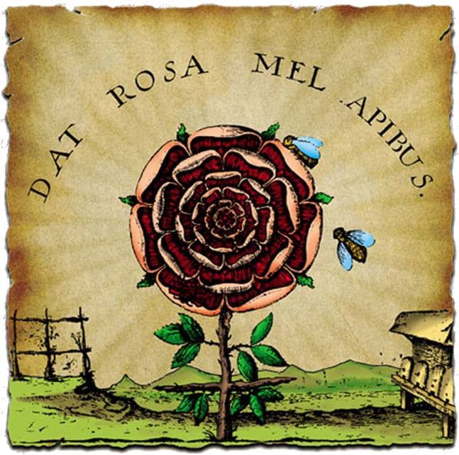 Ancient temple wisdom